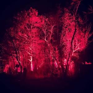 Meet your Posher, Piyali